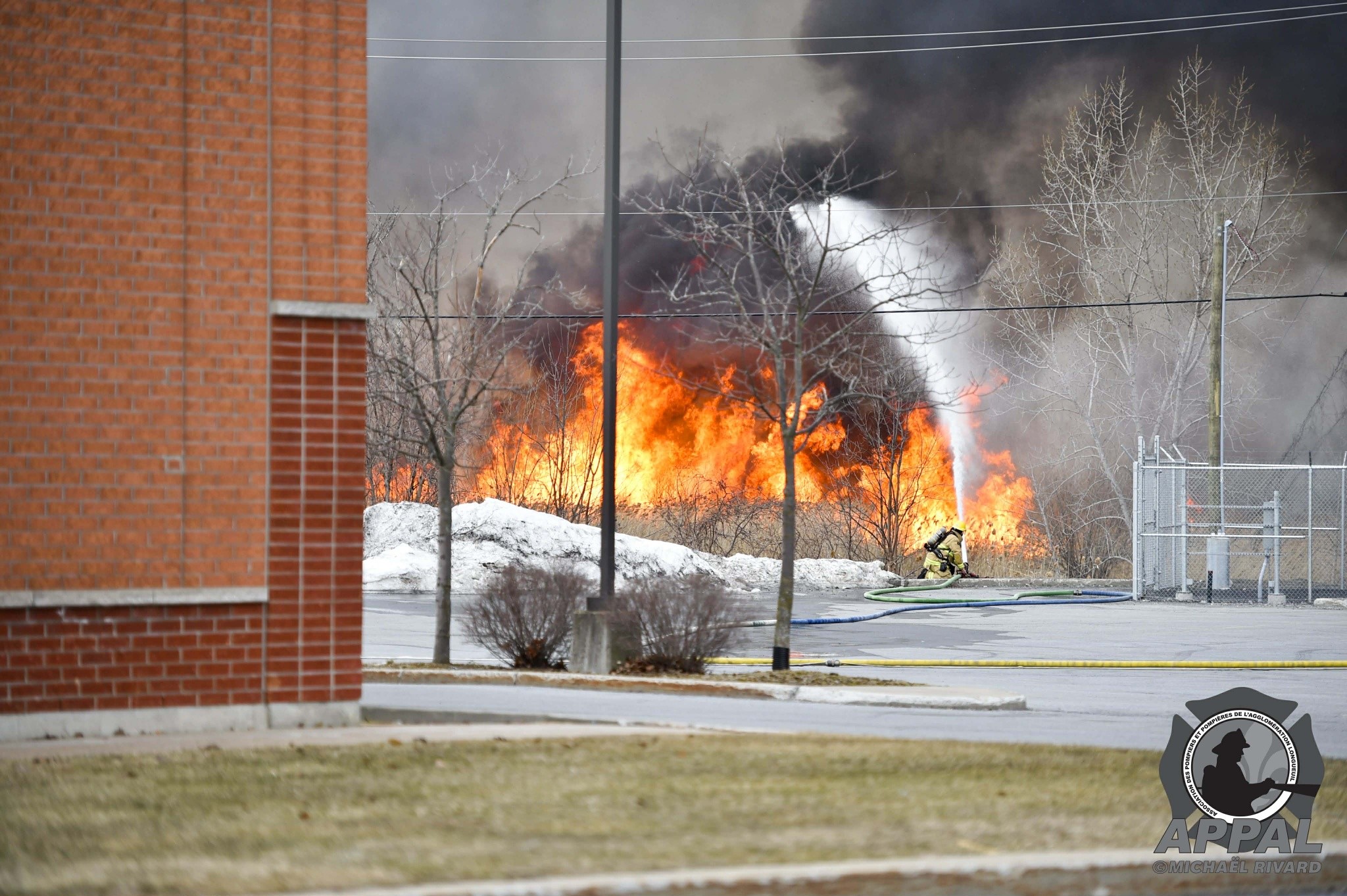 APPAL champ St-Hubert.jpg